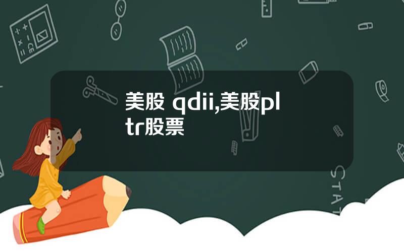 美股 qdii,美股pltr股票